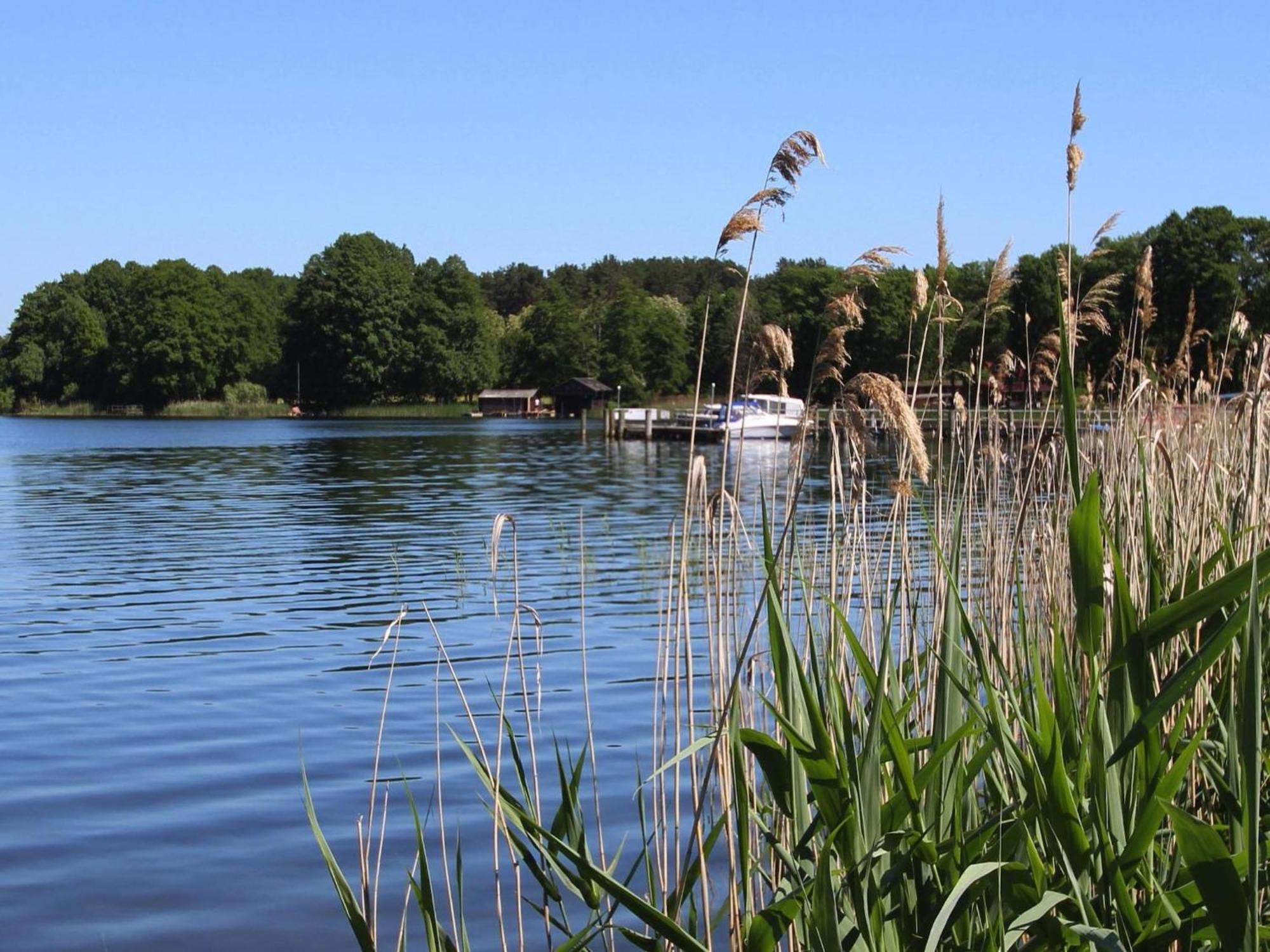 Holiday House At The Vilzsee Mirow Diemitz Экстерьер фото